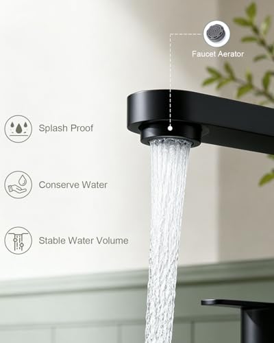 BWE Matte Black Bathroom Faucet view 4