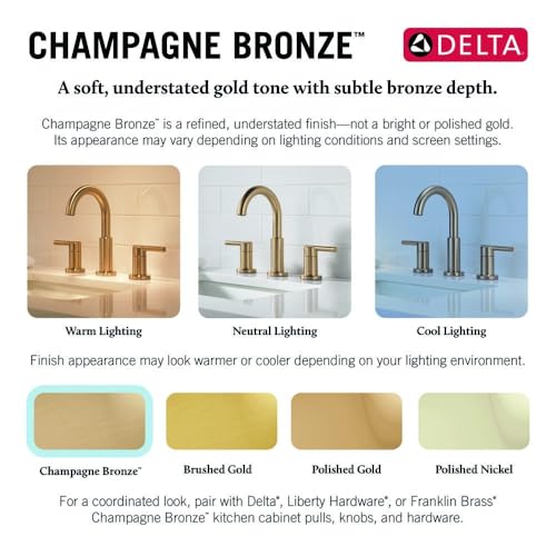 Delta Dryden Brushed Gold Bathroom view 5