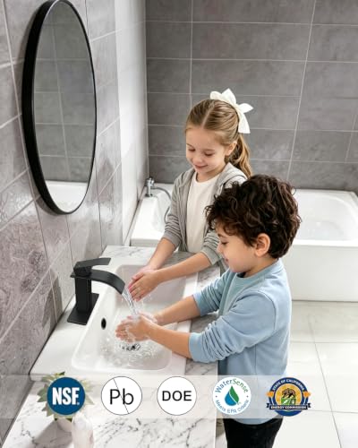 Fransiton Waterfall Single Handle Bathroom view 3